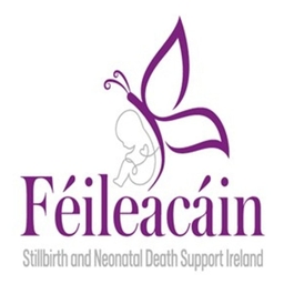 Page Logo